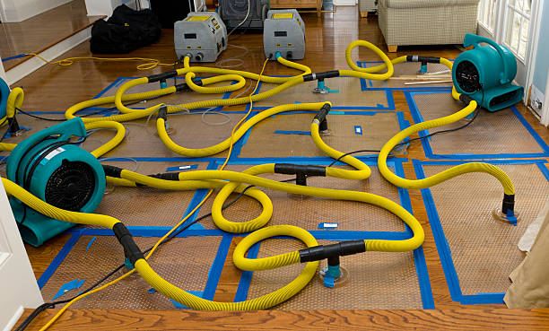 Professional Structural Drying And Dehumidification technician working in Groton, MA